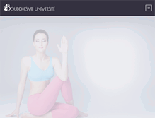 Tablet Screenshot of bouddhisme-universite.org